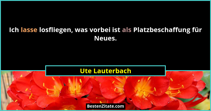 Ich lasse losfliegen, was vorbei ist als Platzbeschaffung für Neues.... - Ute Lauterbach