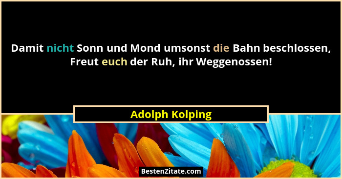 Damit nicht Sonn und Mond umsonst die Bahn beschlossen, Freut euch der Ruh, ihr Weggenossen!... - Adolph Kolping