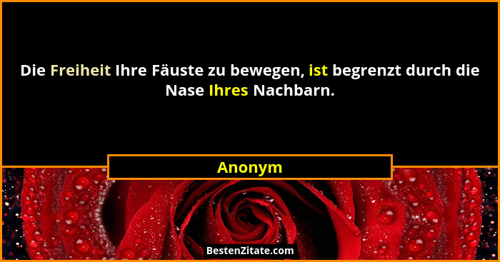 Die Freiheit Ihre Fäuste zu bewegen, ist begrenzt durch die Nase Ihres Nachbarn.... - Anonym