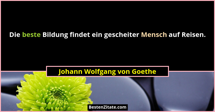 Die beste Bildung findet ein gescheiter Mensch auf Reisen.... - Johann Wolfgang von Goethe