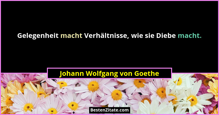 Gelegenheit macht Verhältnisse, wie sie Diebe macht.... - Johann Wolfgang von Goethe