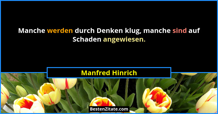 Manche werden durch Denken klug, manche sind auf Schaden angewiesen.... - Manfred Hinrich