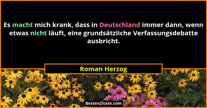 Es macht mich krank, dass in Deutschland immer dann, wenn etwas nicht läuft, eine grundsätzliche Verfassungsdebatte ausbricht.... - Roman Herzog