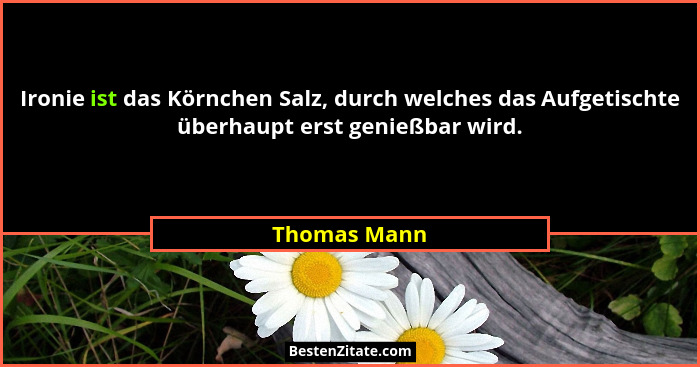 Ironie ist das Körnchen Salz, durch welches das Aufgetischte überhaupt erst genießbar wird.... - Thomas Mann