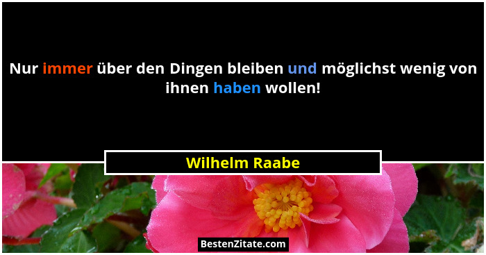 Nur immer über den Dingen bleiben und möglichst wenig von ihnen haben wollen!... - Wilhelm Raabe