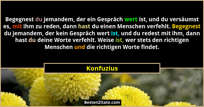 Begegnest du jemandem, der ein Gespräch wert ist, und du versäumst es, mit ihm zu reden, dann hast du einen Menschen verfehlt. Begegnest d... - Konfuzius