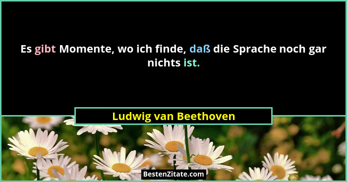 Es gibt Momente, wo ich finde, daß die Sprache noch gar nichts ist.... - Ludwig van Beethoven