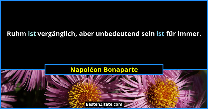 Ruhm ist vergänglich, aber unbedeutend sein ist für immer.... - Napoléon Bonaparte
