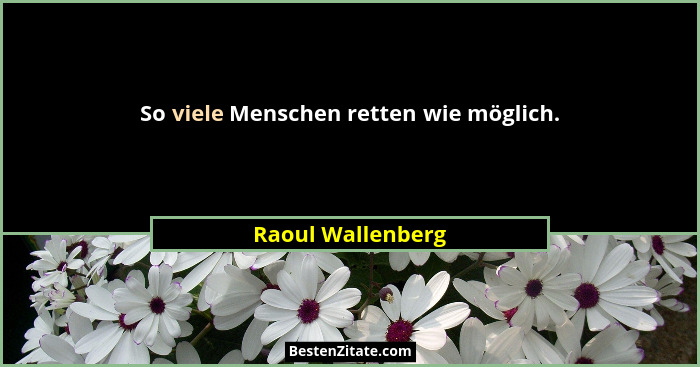 So viele Menschen retten wie möglich.... - Raoul Wallenberg