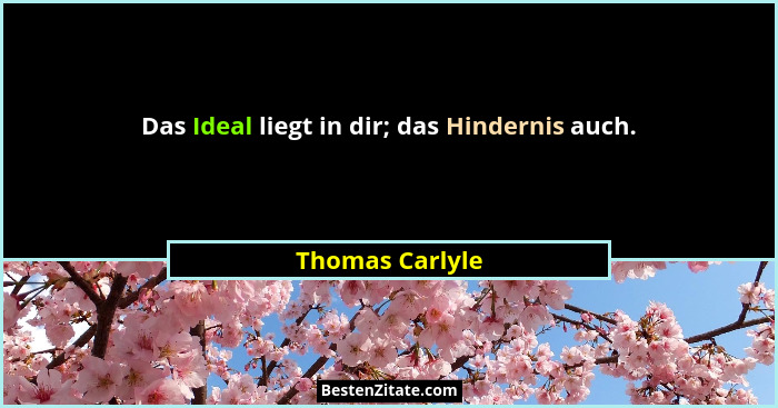 Das Ideal liegt in dir; das Hindernis auch.... - Thomas Carlyle