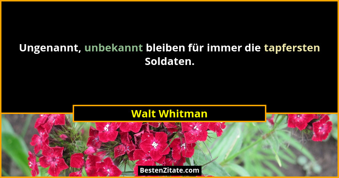 Ungenannt, unbekannt bleiben für immer die tapfersten Soldaten.... - Walt Whitman