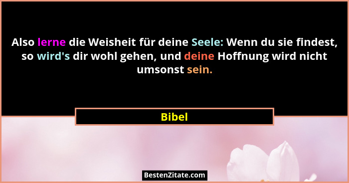 Also lerne die Weisheit für deine Seele: Wenn du sie findest, so wird's dir wohl gehen, und deine Hoffnung wird nicht umsonst sein.... - Bibel