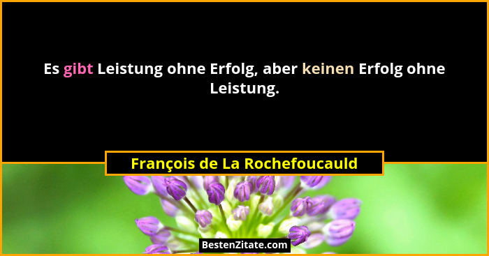 Es gibt Leistung ohne Erfolg, aber keinen Erfolg ohne Leistung.... - François de La Rochefoucauld