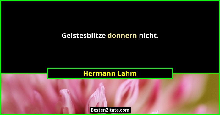 Geistesblitze donnern nicht.... - Hermann Lahm