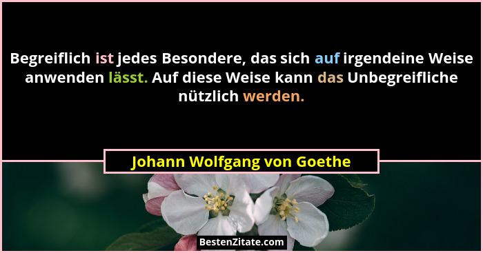 Begreiflich ist jedes Besondere, das sich auf irgendeine Weise anwenden lässt. Auf diese Weise kann das Unbegreifliche nü... - Johann Wolfgang von Goethe