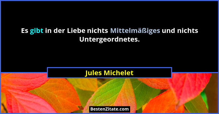 Es gibt in der Liebe nichts Mittelmäßiges und nichts Untergeordnetes.... - Jules Michelet