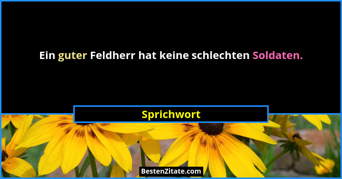 Ein guter Feldherr hat keine schlechten Soldaten.... - Sprichwort