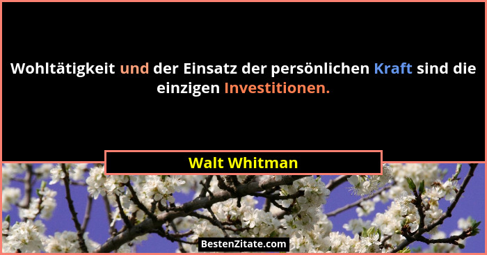 Wohltätigkeit und der Einsatz der persönlichen Kraft sind die einzigen Investitionen.... - Walt Whitman