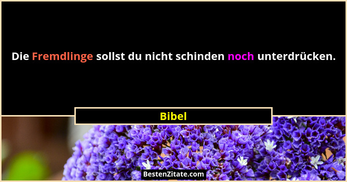 Die Fremdlinge sollst du nicht schinden noch unterdrücken.... - Bibel