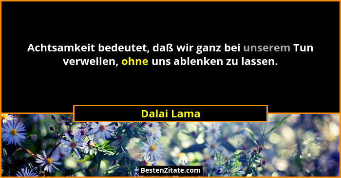 Achtsamkeit bedeutet, daß wir ganz bei unserem Tun verweilen, ohne uns ablenken zu lassen.... - Dalai Lama