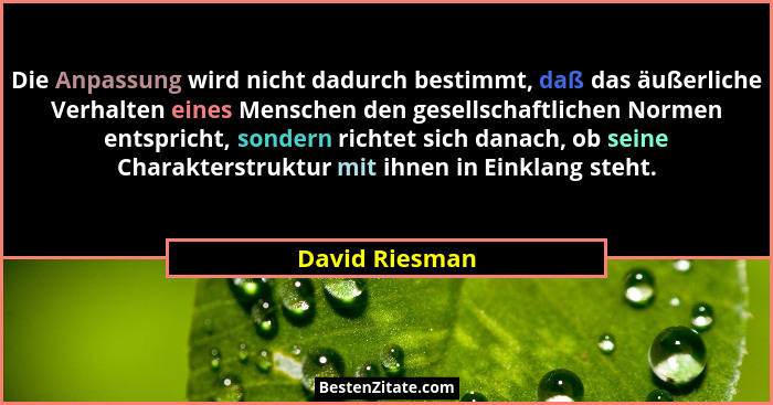 Die Anpassung wird nicht dadurch bestimmt, daß das äußerliche Verhalten eines Menschen den gesellschaftlichen Normen entspricht, sonde... - David Riesman