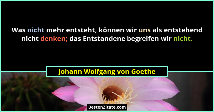 Was nicht mehr entsteht, können wir uns als entstehend nicht denken; das Entstandene begreifen wir nicht.... - Johann Wolfgang von Goethe