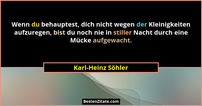 Wenn du behauptest, dich nicht wegen der Kleinigkeiten aufzuregen, bist du noch nie in stiller Nacht durch eine Mücke aufgewacht.... - Karl-Heinz Söhler