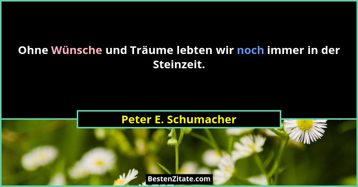 Ohne Wünsche und Träume lebten wir noch immer in der Steinzeit.... - Peter E. Schumacher