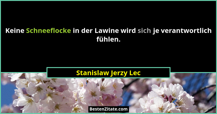 Keine Schneeflocke in der Lawine wird sich je verantwortlich fühlen.... - Stanislaw Jerzy Lec
