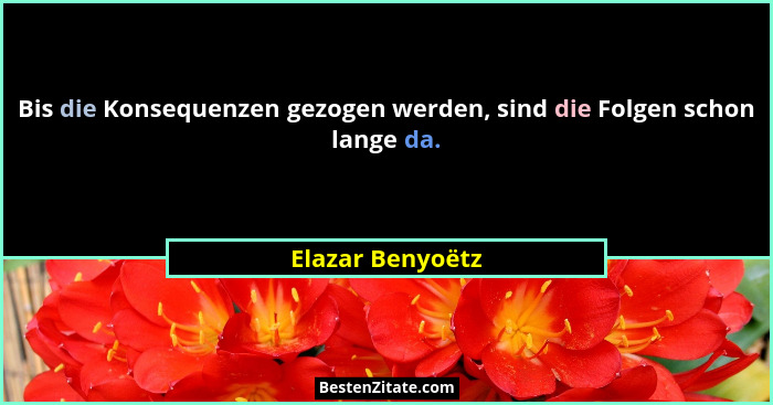 Bis die Konsequenzen gezogen werden, sind die Folgen schon lange da.... - Elazar Benyoëtz