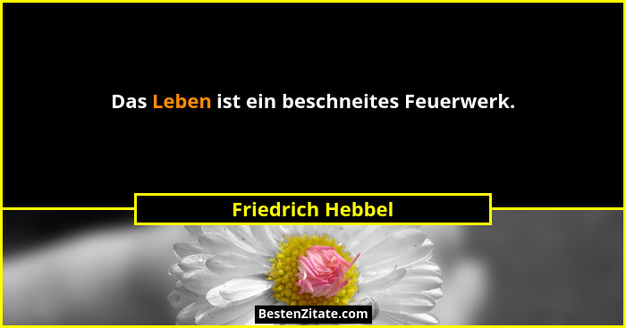 Das Leben ist ein beschneites Feuerwerk.... - Friedrich Hebbel