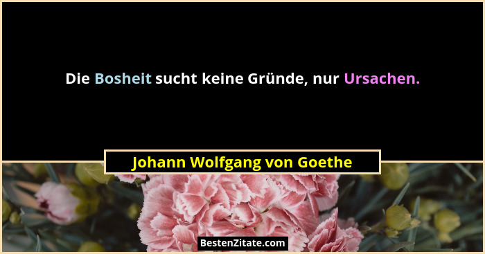 Die Bosheit sucht keine Gründe, nur Ursachen.... - Johann Wolfgang von Goethe