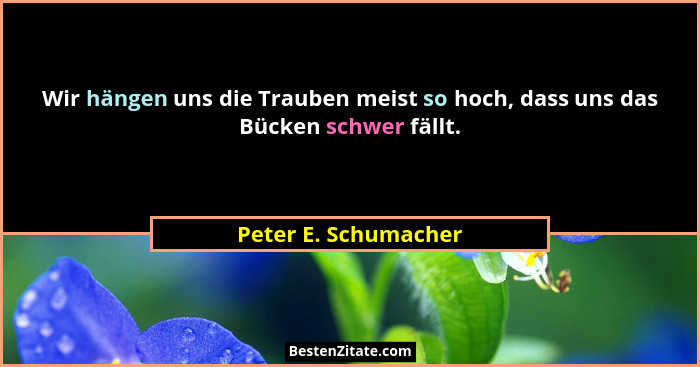 Wir hängen uns die Trauben meist so hoch, dass uns das Bücken schwer fällt.... - Peter E. Schumacher