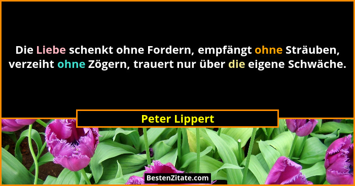Die Liebe schenkt ohne Fordern, empfängt ohne Sträuben, verzeiht ohne Zögern, trauert nur über die eigene Schwäche.... - Peter Lippert