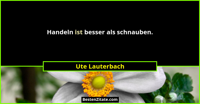 Handeln ist besser als schnauben.... - Ute Lauterbach