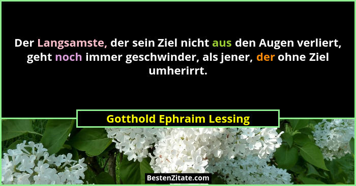 Der Langsamste, der sein Ziel nicht aus den Augen verliert, geht noch immer geschwinder, als jener, der ohne Ziel umherirrt... - Gotthold Ephraim Lessing