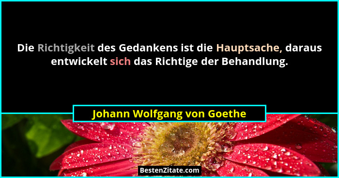 Die Richtigkeit des Gedankens ist die Hauptsache, daraus entwickelt sich das Richtige der Behandlung.... - Johann Wolfgang von Goethe