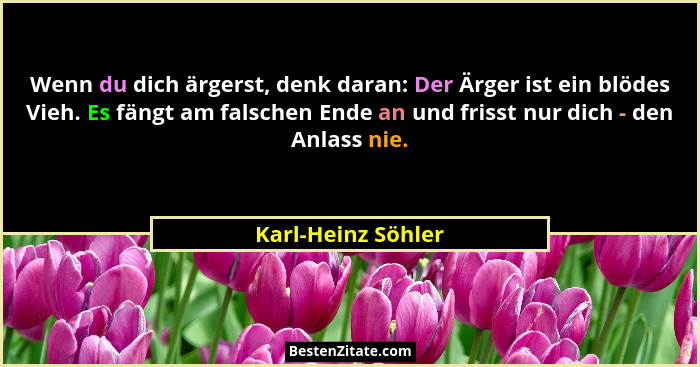 Wenn du dich ärgerst, denk daran: Der Ärger ist ein blödes Vieh. Es fängt am falschen Ende an und frisst nur dich - den Anlass nie... - Karl-Heinz Söhler