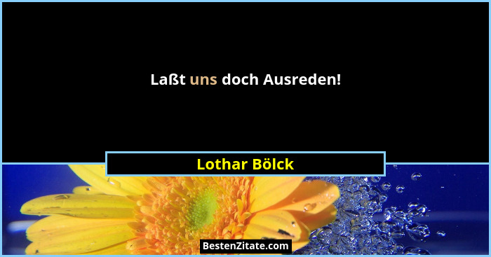 Laßt uns doch Ausreden!... - Lothar Bölck