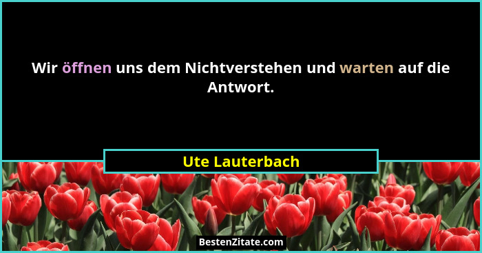 Wir öffnen uns dem Nichtverstehen und warten auf die Antwort.... - Ute Lauterbach