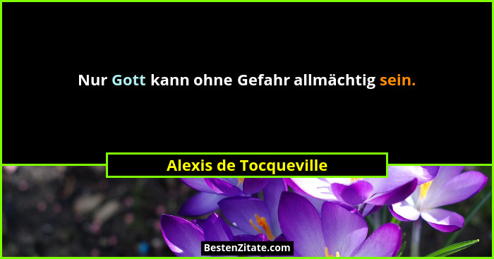 Nur Gott kann ohne Gefahr allmächtig sein.... - Alexis de Tocqueville