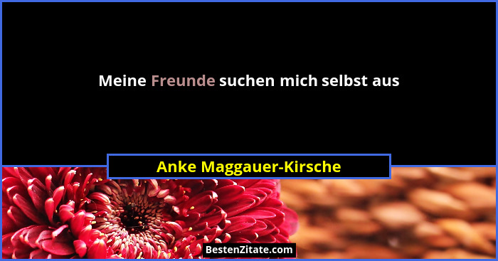 Meine Freunde suchen mich selbst aus... - Anke Maggauer-Kirsche