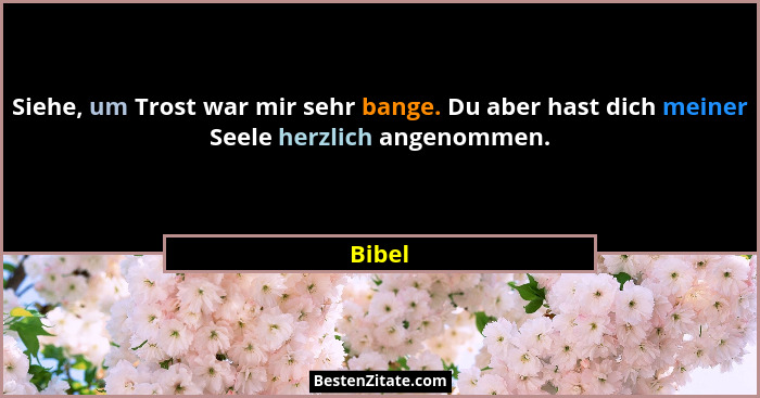 Siehe, um Trost war mir sehr bange. Du aber hast dich meiner Seele herzlich angenommen.... - Bibel
