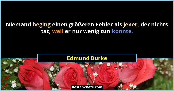 Niemand beging einen größeren Fehler als jener, der nichts tat, weil er nur wenig tun konnte.... - Edmund Burke