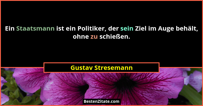 Ein Staatsmann ist ein Politiker, der sein Ziel im Auge behält, ohne zu schießen.... - Gustav Stresemann