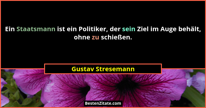 Ein Staatsmann ist ein Politiker, der sein Ziel im Auge behält, ohne zu schießen.... - Gustav Stresemann