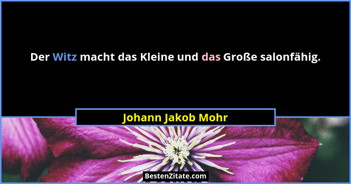 Der Witz macht das Kleine und das Große salonfähig.... - Johann Jakob Mohr