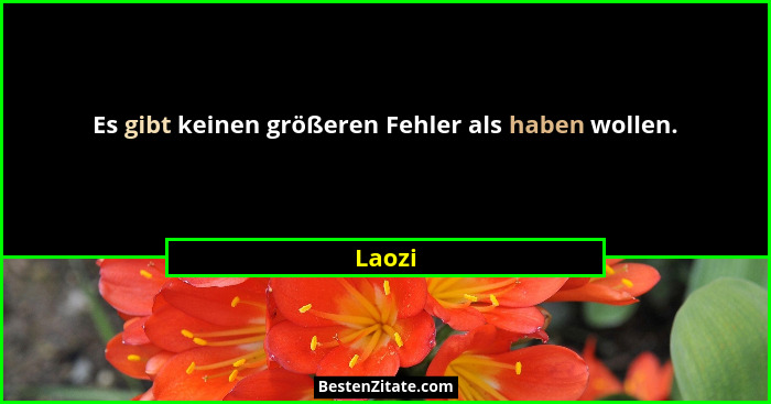 Es gibt keinen größeren Fehler als haben wollen.... - Laozi