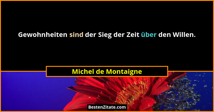Gewohnheiten sind der Sieg der Zeit über den Willen.... - Michel de Montaigne