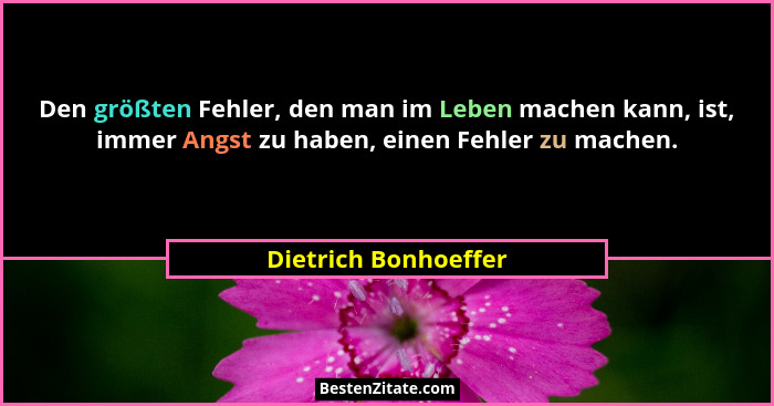 Den größten Fehler, den man im Leben machen kann, ist, immer Angst zu haben, einen Fehler zu machen.... - Dietrich Bonhoeffer